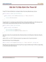 đặt giá trị mặc định cho tham số pps