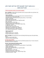 CẤU TRÚC ĐỀ THI TỐT NGHIỆP THPT NĂM 2011 MÔN NGỮ VĂN pptx