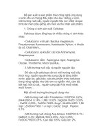 Để sản xuất ra sản phẩm theo công nghệ ứng dụng vi sinh ppsx