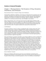 Section I - General Principles pdf