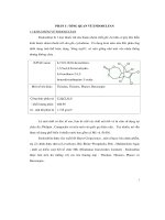 Tiểu luận đánh giá những tác hại của độc chất endosulfan   luận văn, đồ án, đề tài tốt nghiệp