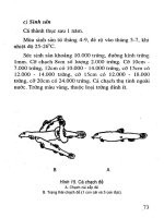 Ngư Nghiệp - Cá Quả, Cá Chình, Cá Chạch phần 7 pdf