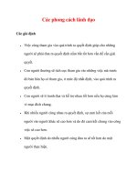 Các phong cách lãnh đạo pps