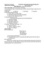 Thi HSG Tieng Viet 4