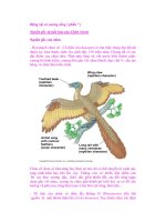 Động vật có xương sống ( phần 7 ) pot