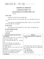 sinh học 11 CB chương IV