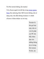 Tải file torrent không cần tracker pdf