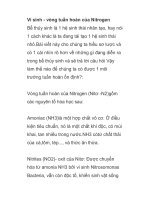 Vi sinh - vòng tuần hoàn của Nitrogen ppsx