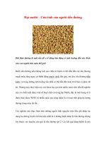 Hạt methi – Cứu tinh của người tiểu đường ppsx