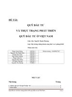 thực trạng quỹ đầu tư tại Việt Nam pptx