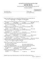 De thi Vao 10 Tieng Anh 2010