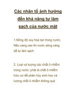 Các nhân tố ảnh hưởng đến khả năng tự làm sạch của nước mặt pot