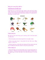 Động vật có xương sống ( phần 8 ) pptx