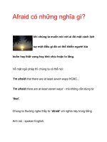 Afraid có những nghĩa gì? ppt