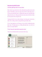 Dùng màu trong thiết kế website doc