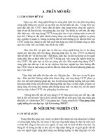 skkn Lí thcs (CNTT)