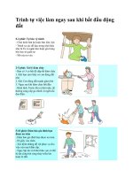 Trình tự việc làm ngay sau khi bắt đầu động đất docx