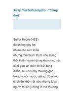 Xử lý mùi Sulfua hydro potx