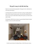 Bí quyết trang trí nội thất nhà ống pot