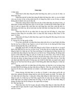 Tổng quan về nhãn hiệu pps