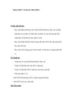 NHẬN BIẾT VÀI DẠNG ĐỘT BIẾN ppsx