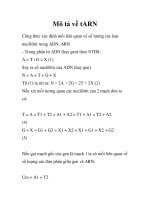 Mô tả về tARN potx