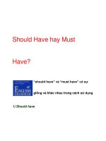 Should Have hay Must Have? pps