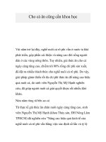 Cho cá ăn cũng cần khoa học docx
