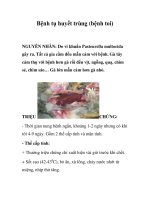 Bệnh tụ huyết trùng (bệnh toi) ppsx