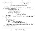 Đề và đáp án thi HSG huyện Hoài Đức ngữ văn 9