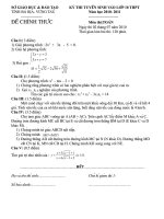 de thi tuyen vao 10 mon toan 2010-2011