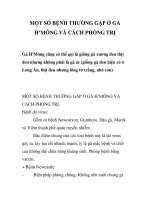 MỘT SỐ BỆNH THƯỜNG GẶP Ở GÀ H’MÔNG VÀ CÁCH PHÒNG TRỊ pptx