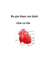 Ba giai đoạn của bệnh viêm cơ tim pptx