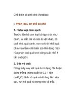 Chế biến cà phê chè (Arabica) pps