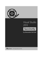 Visual Studio 2013 Succinctly by Alessandro Del Sole