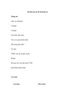 Kê biên tài sản để thi hành án pptx