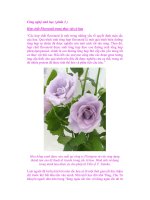 Công nghệ sinh học ( phần 2 ) ppt