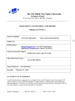 Culture Shock (Khue-Phung)