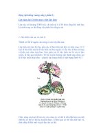 Động vật không xương sống ( phần 8 ) Lớp giun dẹp pps