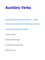 Auxiliary Verbs pdf