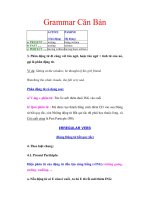 Grammar Căn BảnACTIVE (Chủ động) pdf