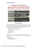 Vi sinh vật và enzym trong công nghệ thực phẩm