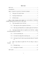 lý thuyết Linder và việc vận dụng trong thực tiễn vào mặt hàng sữa của Việt Nam.