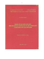 Nghiên cứu đặc điểm lâm sàng, hình ảnh Doppler xuyên sọ và chụp cắt lớp vi tính 64 dãy ở bệnh nhân chảy máu dưới nhện