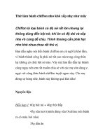 Thử làm bánh chiffon nho khô xốp nhẹ như mây ppt