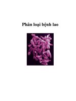 Phân loại bệnh lao potx