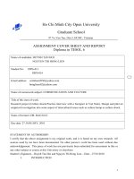 DIP 6A.CULTURE SHOCK.HL.doc