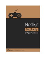Node dot JS Platform Succinctly by Agus Kurniawan