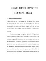 HỆ NỘI TIẾT Ở ÐỘNG VẬT HỮU NHŨ – Phần 2 docx
