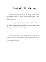 Danh sách 88 chòm sao (Đặng Vũ Tuấn Sơn) pot